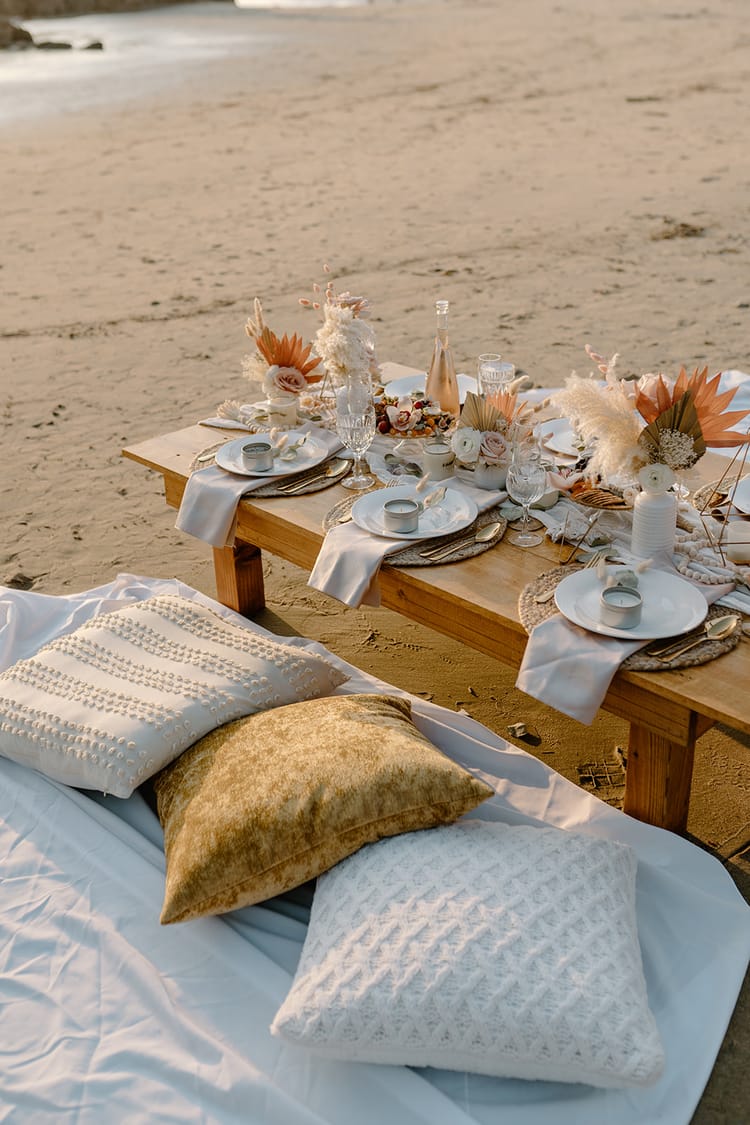 Beach pic nic, great for releasing dopamine, oxytocin, serotonin, and endorphins.